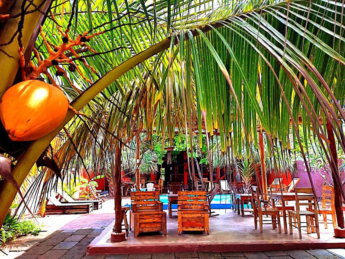 El Belga Loco Hotel Las Penitas Exterior photo